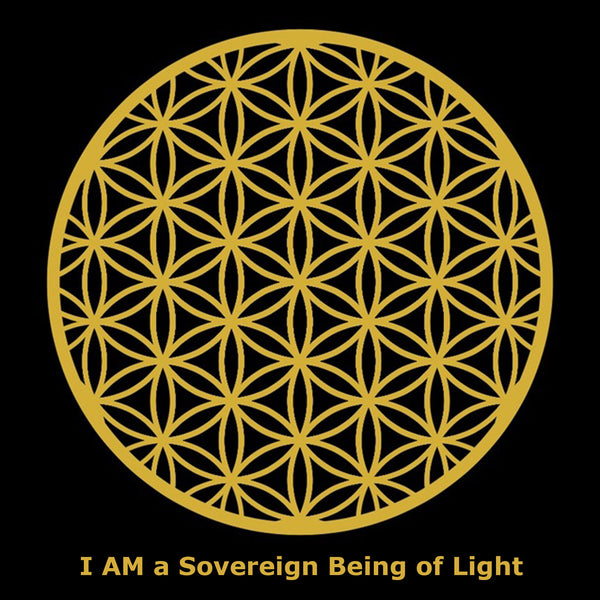 "Flower of Life - Metallic Gold on Black - I AM A Sovereign Being of Light" Poster Print